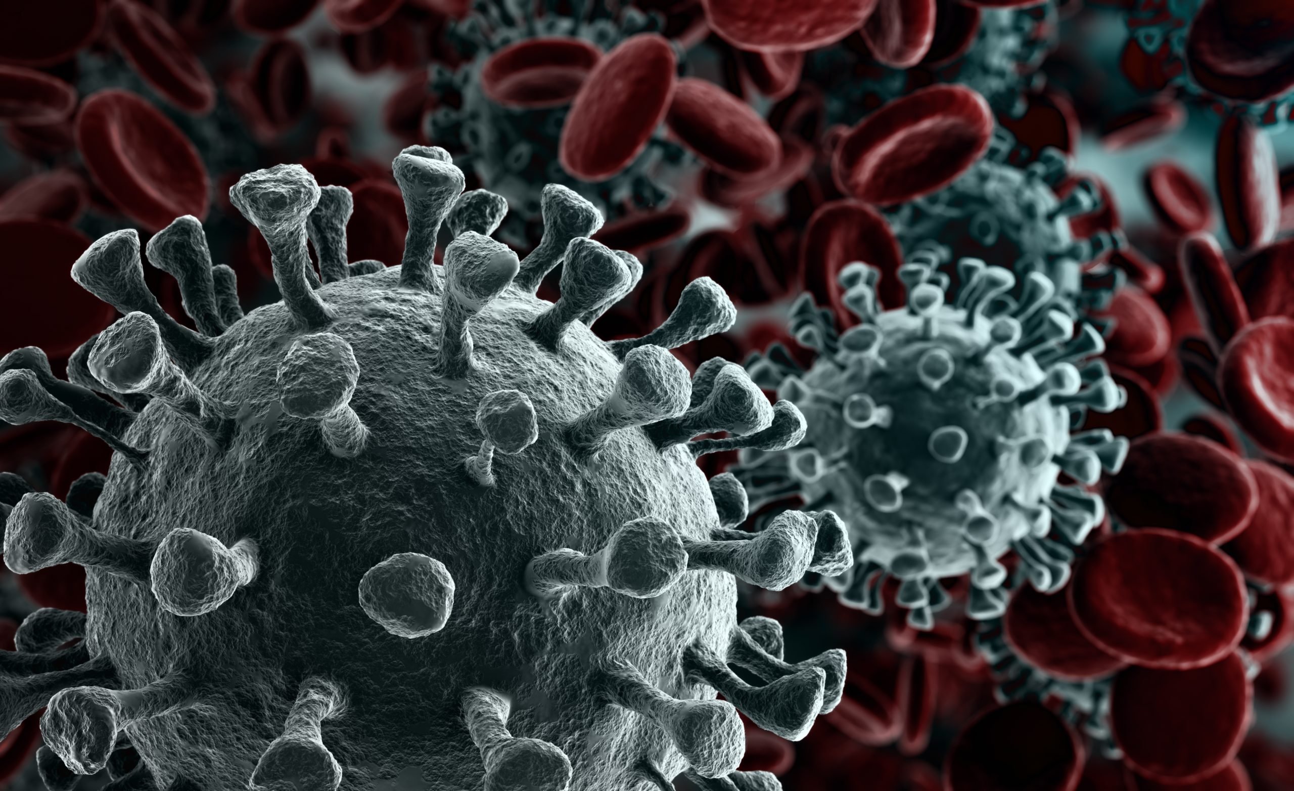 For The Community Resources Related To The Coronavirus Greenville