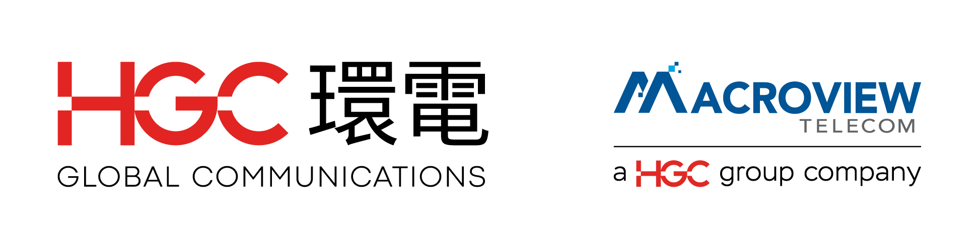 macroview logo