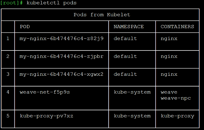 Kubelet pods from kubeletctl