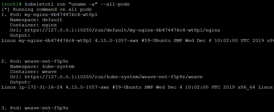 Running one command on all existing containers by kubeletctl