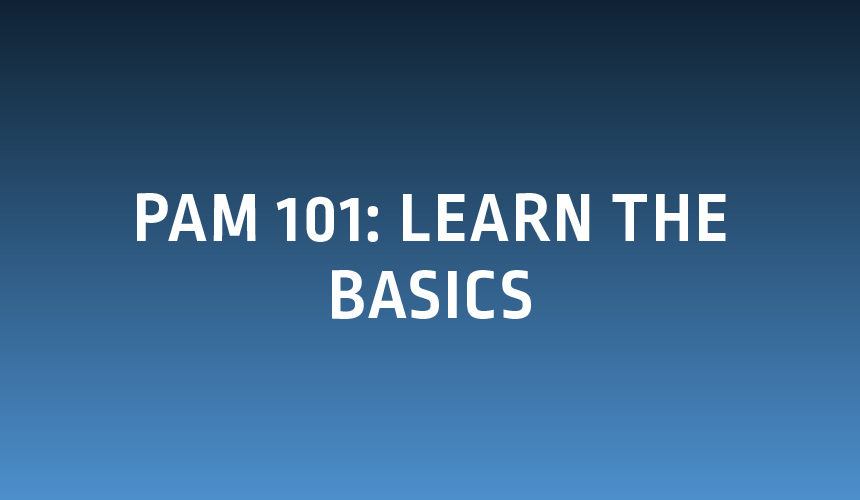 PAM 101: Learn the Basics
