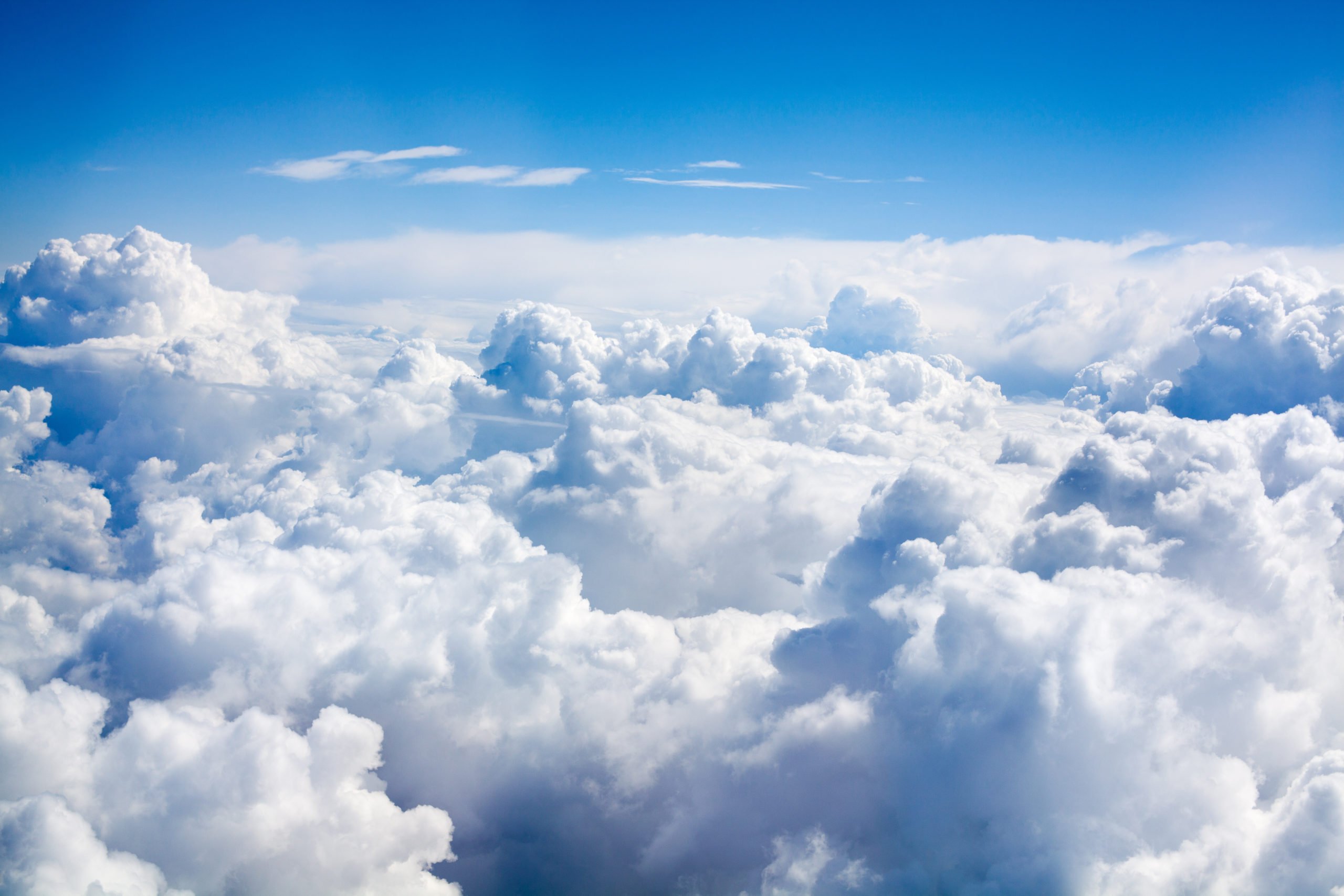 Best Practices for Protecting Your Organization s Dynamic Cloud Best Practices for Protecting Your Organization s Dynamic Cloud
