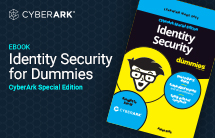 Identity Security for Dummies eBook Fly-in