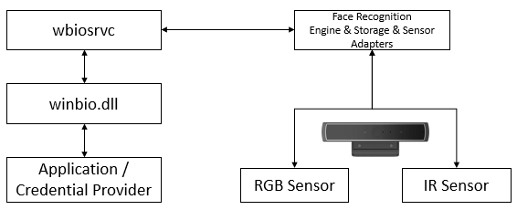 Bypassing Windows Hello Without Masks or Plastic Surgery