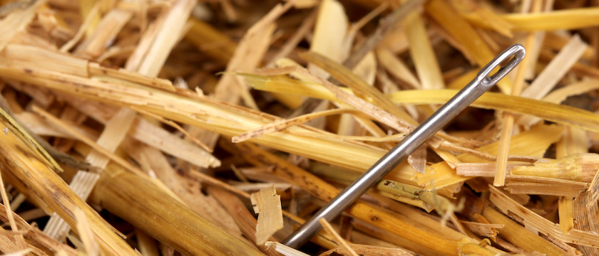 needle in haystack