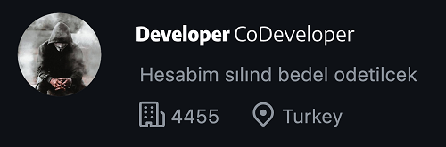CoDeveloper profile snippet, the co-developer