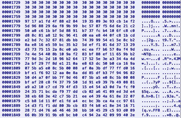 Hexview of the separator between the end of the picture and the beginning of the piggybacked payload in the .jpg with a picture of a dog.