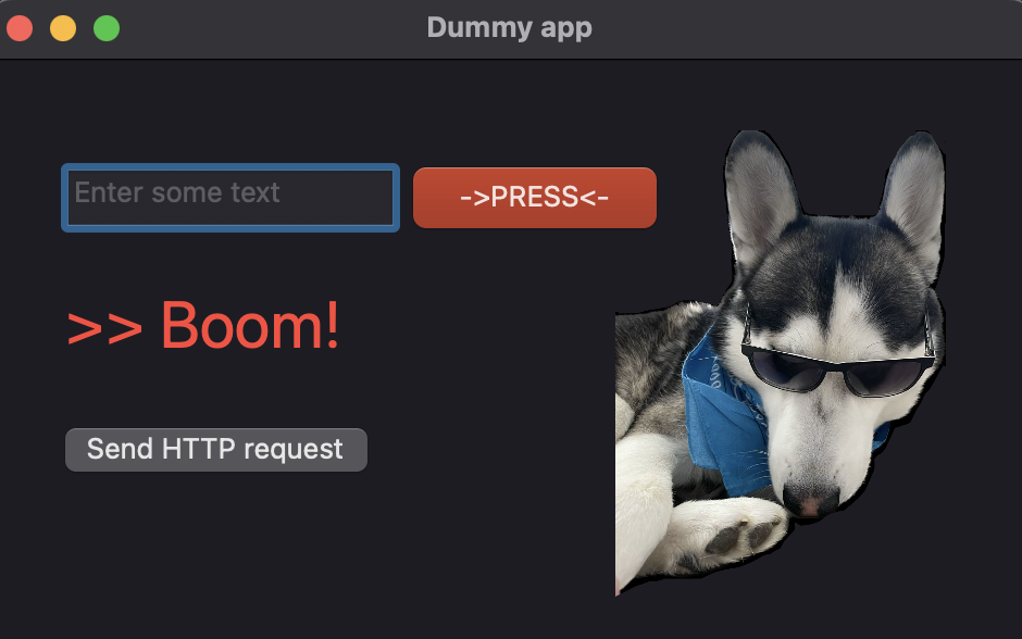 The dummy app 