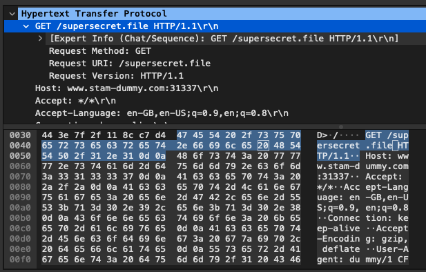 Wireshark unencrypted traffic