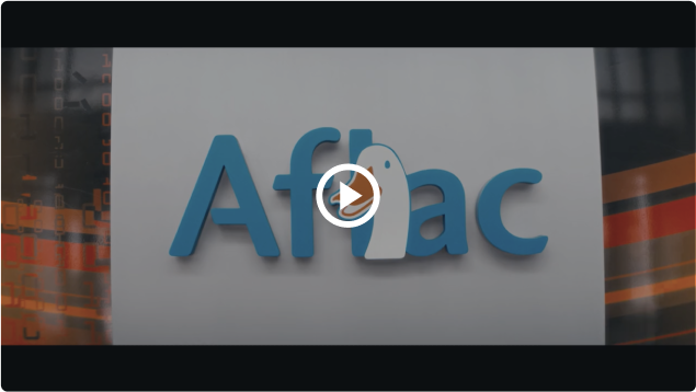 Aflac video image