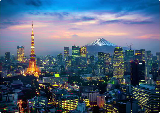 Aerial view of Tokyo cityscape with Fuji mountain in Japan.