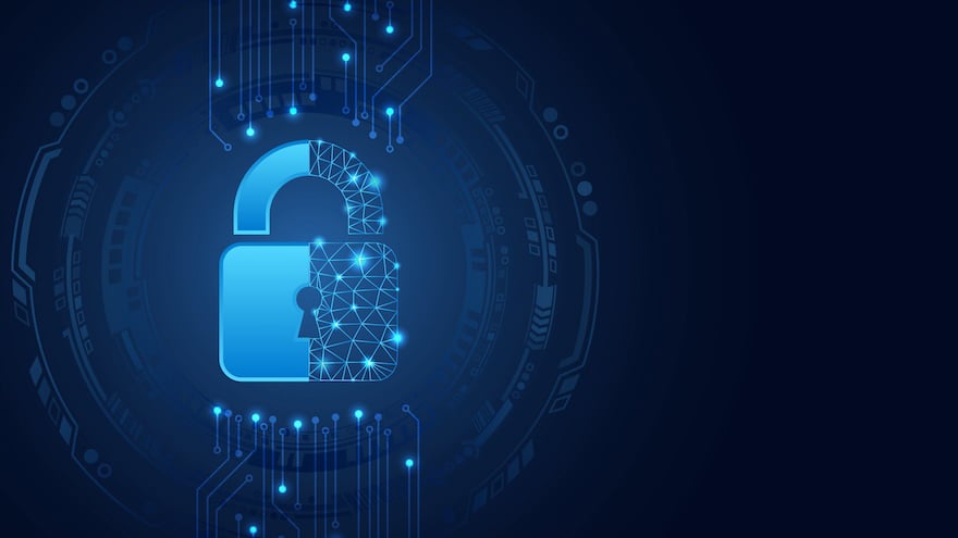 Applications of Homomorphic Encryption